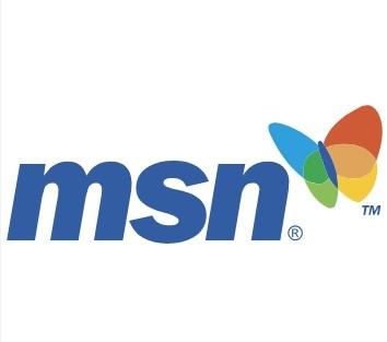 MSN Logo